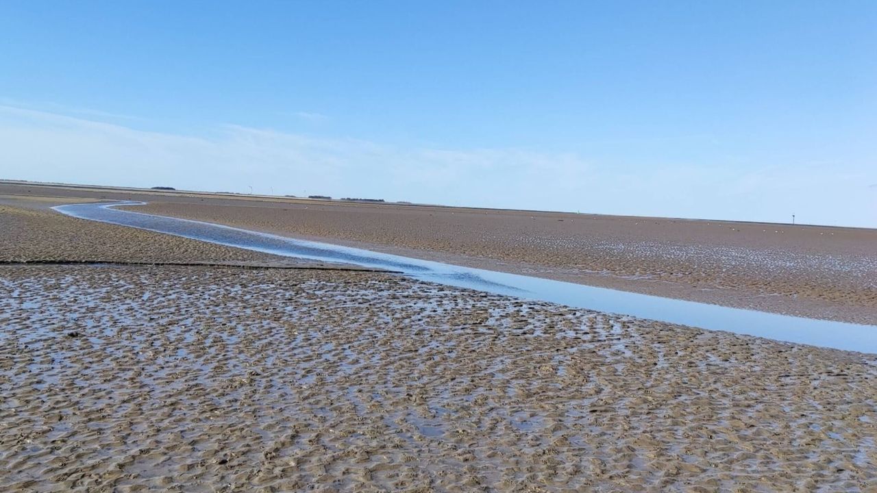 AreaSummer5KM AreaSummer5KM